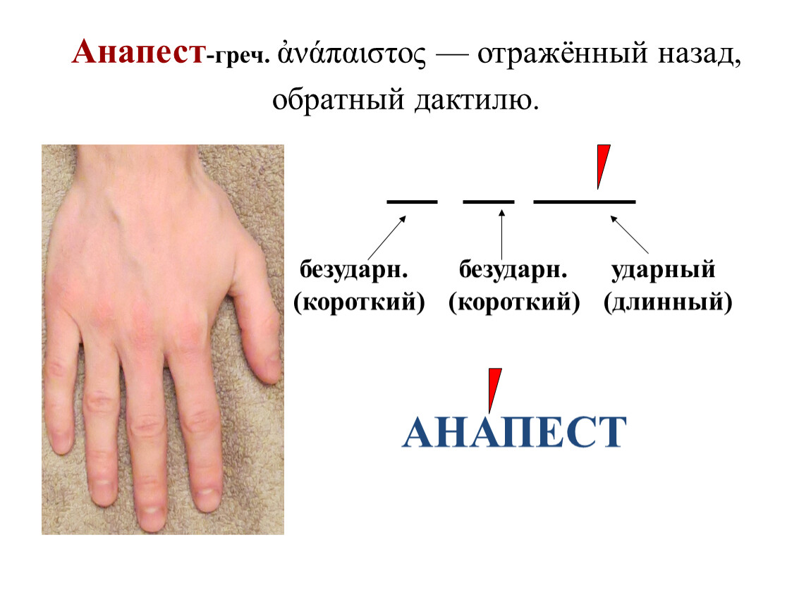 Трехстопный анапест схема