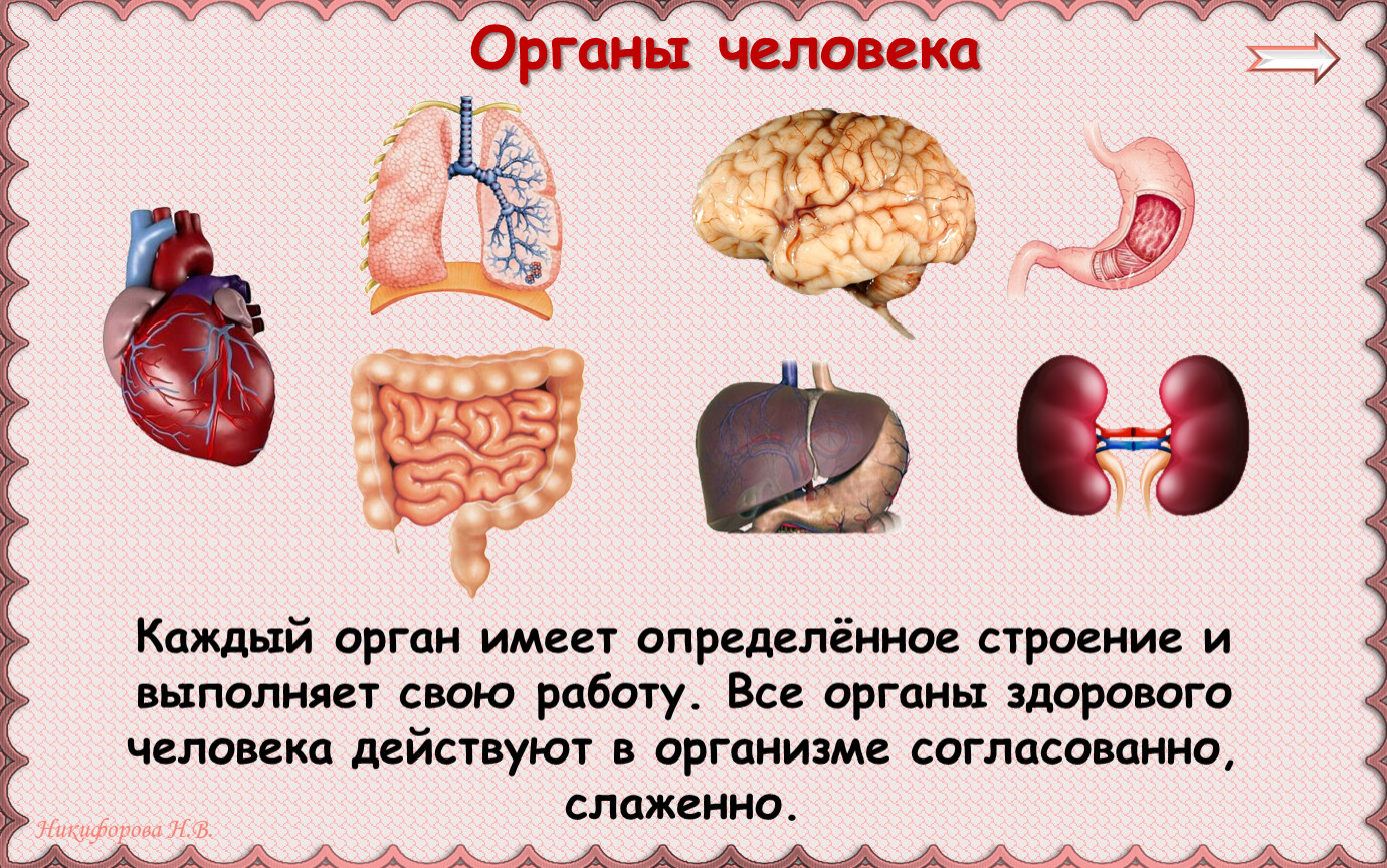 Органы обладают