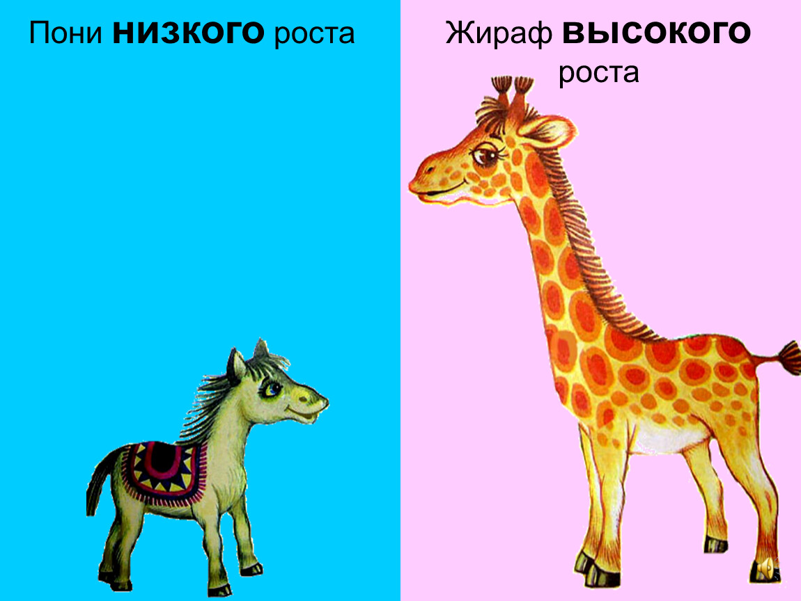 Высокий низкий картинка