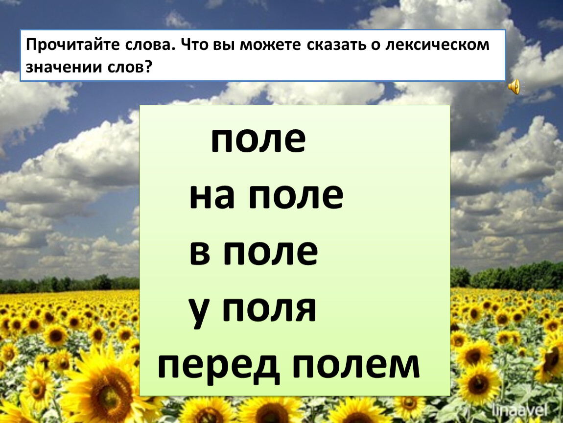 Слова на поли. Слово поле. Лексическое значение слова поле. Поле для текста. Несколько значений слова поле.