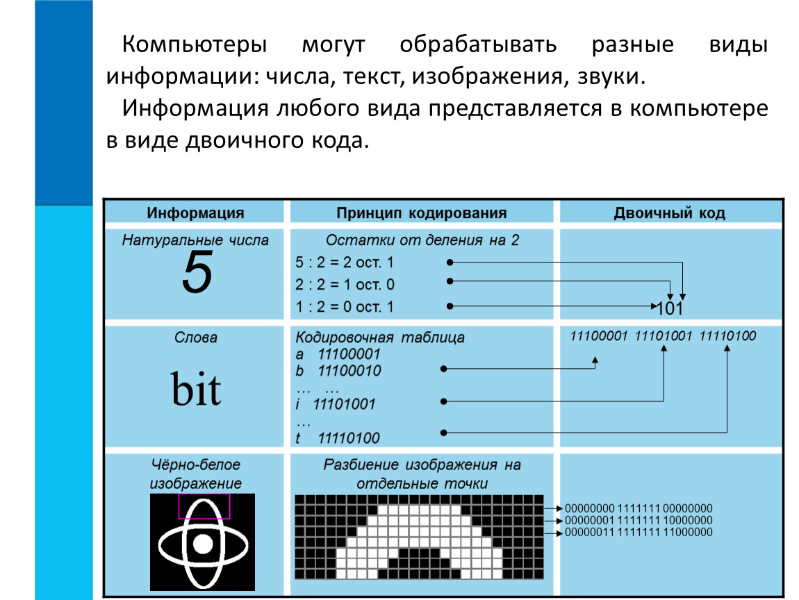 Вся другая информация звуки изображения для обработки на компьютере должна