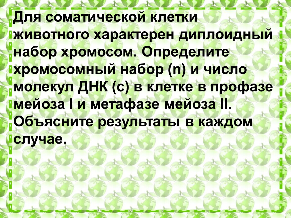 Диплоидный набор хромосом соматической. Для соматической клетки животного характерен диплоидный набор. Для соматической клетки животного характерен диплоидный. Набор хромосом характерный для соматических клеток. Для соматической клетки характерен диплоидный набор хромосом.