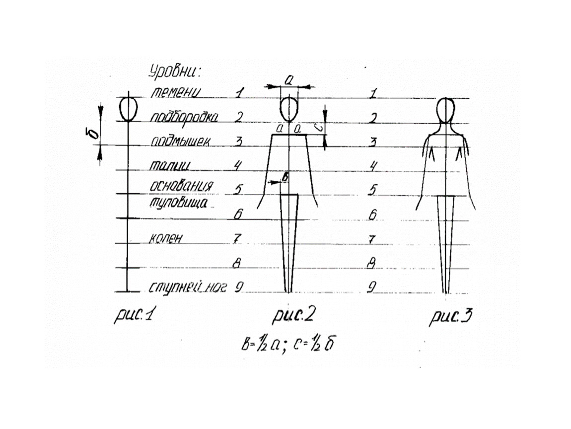Покажи схему человека. Схема построения фигуры человека. Пропорции человека схема. Пропорции фигуры человека показать схемы пропорций. Рисование фигуры человека таблица.