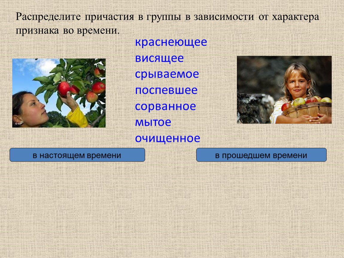 Распределить причастия. Распределите причастия на группы. Как Причастие распределить по группам. Краснеющую какое Причастие.