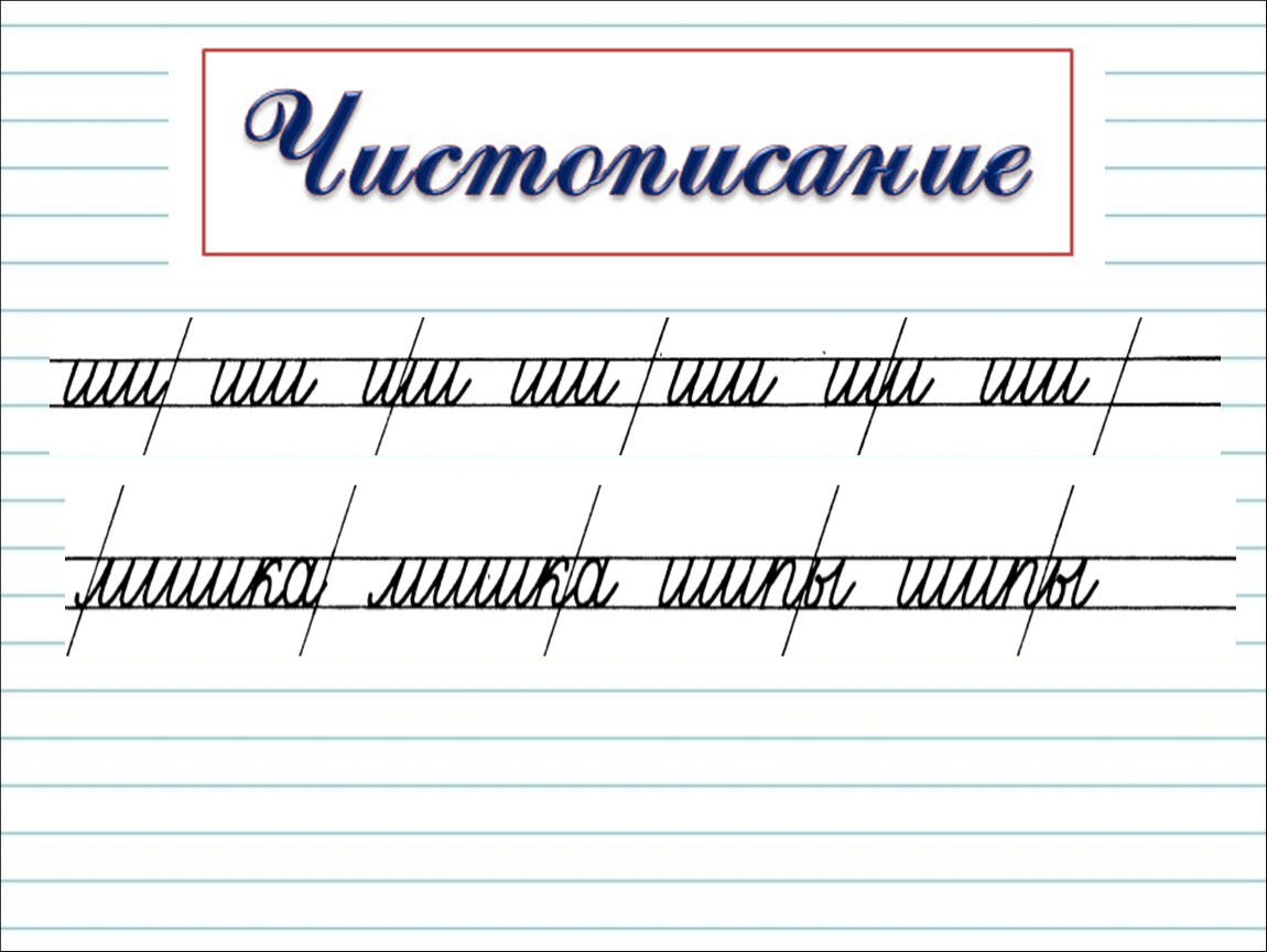 Письмо 1 урок 1 класс презентация. Чистописание ши. Чистописание жи ши 1 класс. Чистописание буква ш. Урок ЧИСТОПИСАНИЯ В 1 классе.