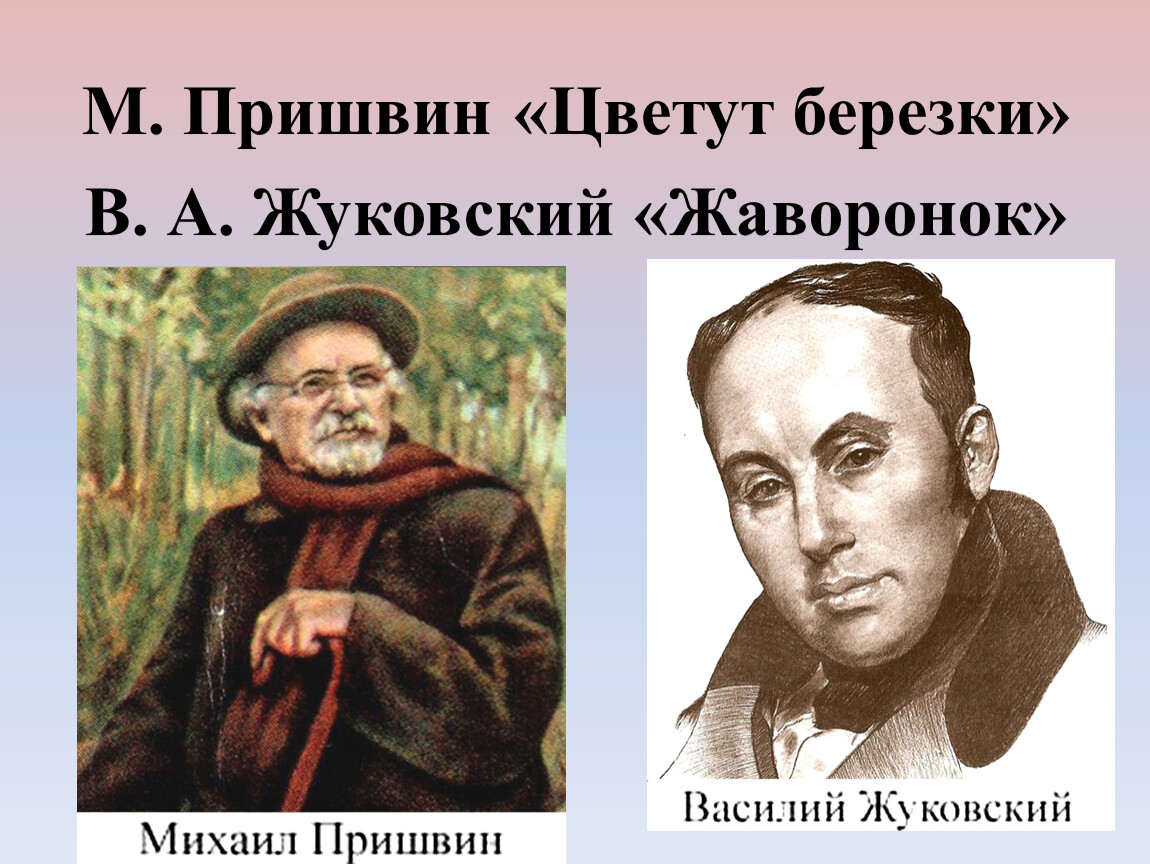 Жуковский жаворонок. М пришвин цветут Березки. Михаил пришвин цветут Березки. Пришвин цветут Березки читать. М пришвин береза.