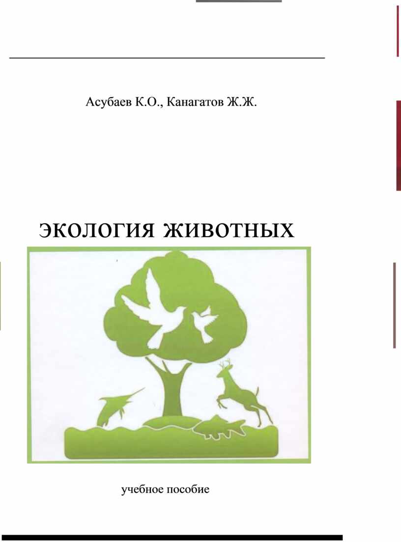 Презентация 7 класс животные и окружающая среда. Графическая модель по экологии животных для дошкольников.