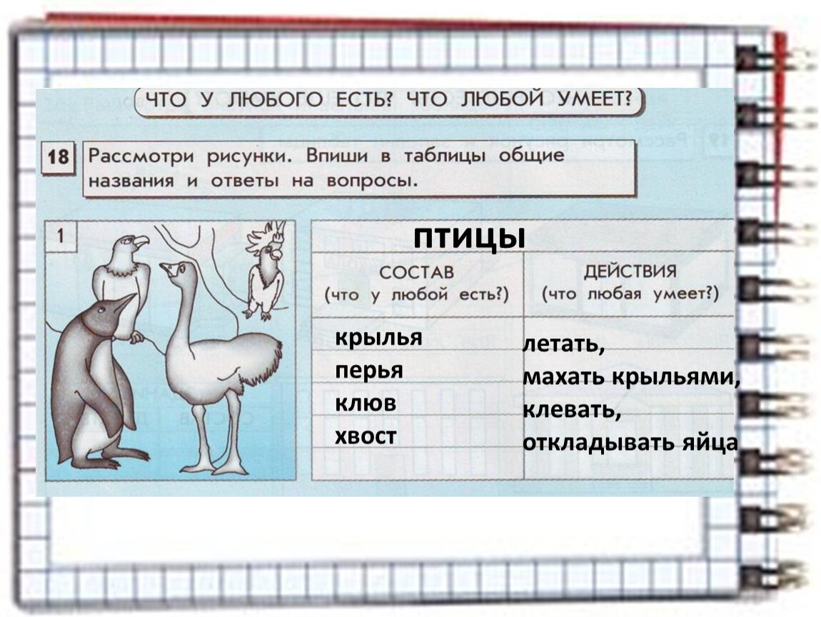 Любой есть. Что у любого есть что любой умеет. Рассмотри рисунки впиши в таблицы Общие названия и ответы на вопросы. Рассмотри рисунок впиши в таблицу Общие название. Рассмотри рисунки впиши в таблицы.