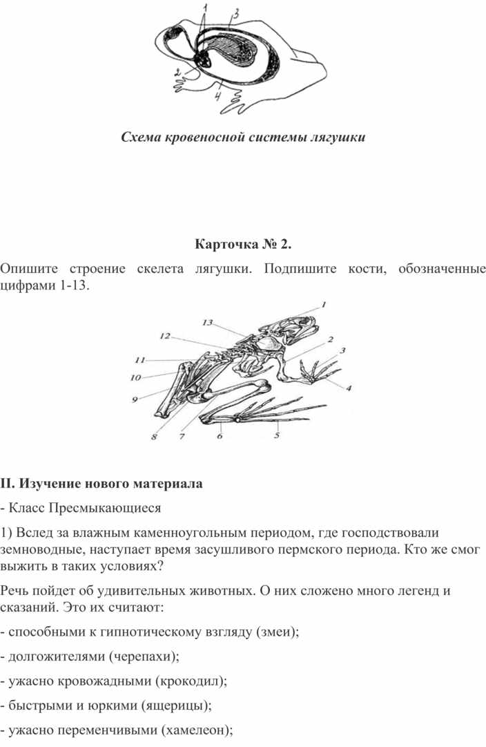 Презентация класс пресмыкающиеся 7 класс пасечник