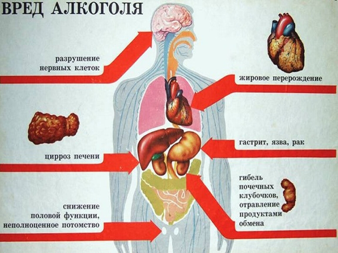 Презентация внеклассного мероприятия на тему 