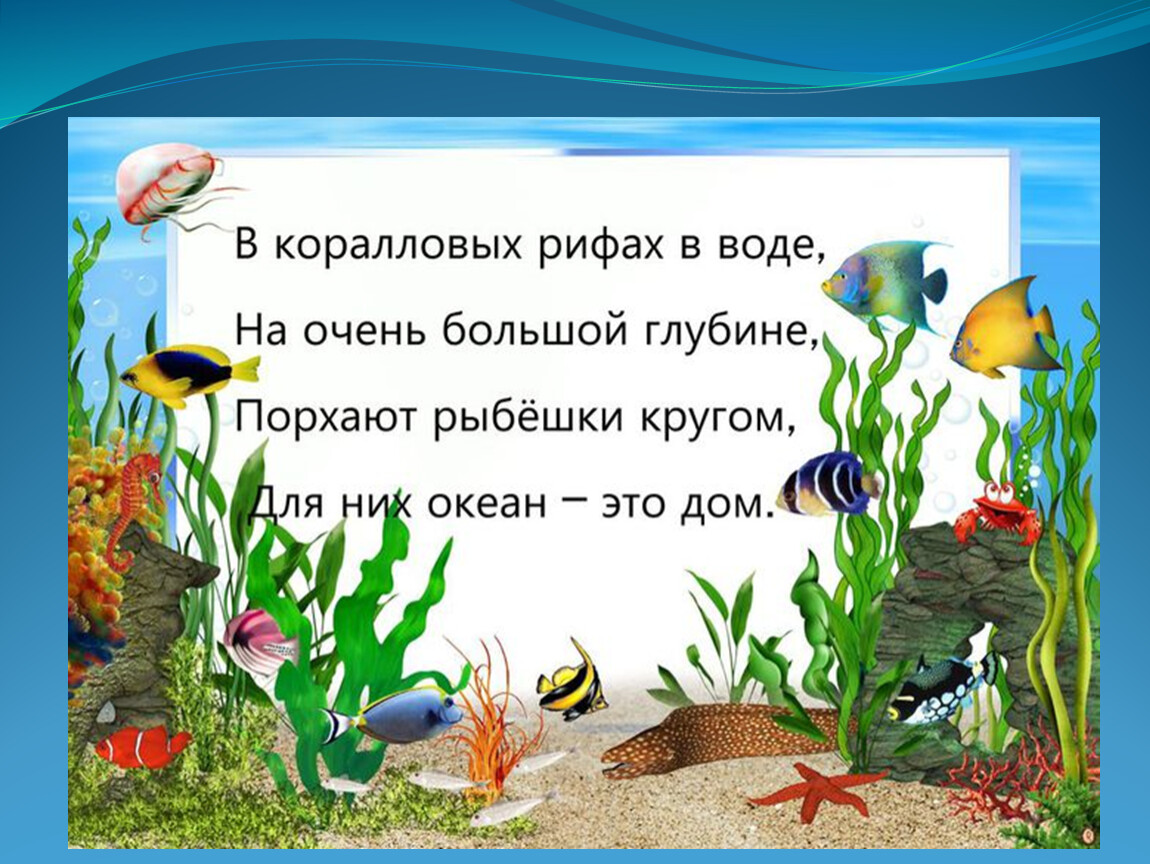 Животные водоемов морей и океанов занятие в подготовительной группе презентация