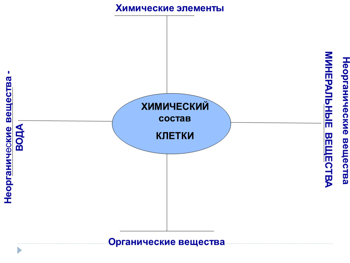 Интеллект карта химический состав клетки - 93 фото