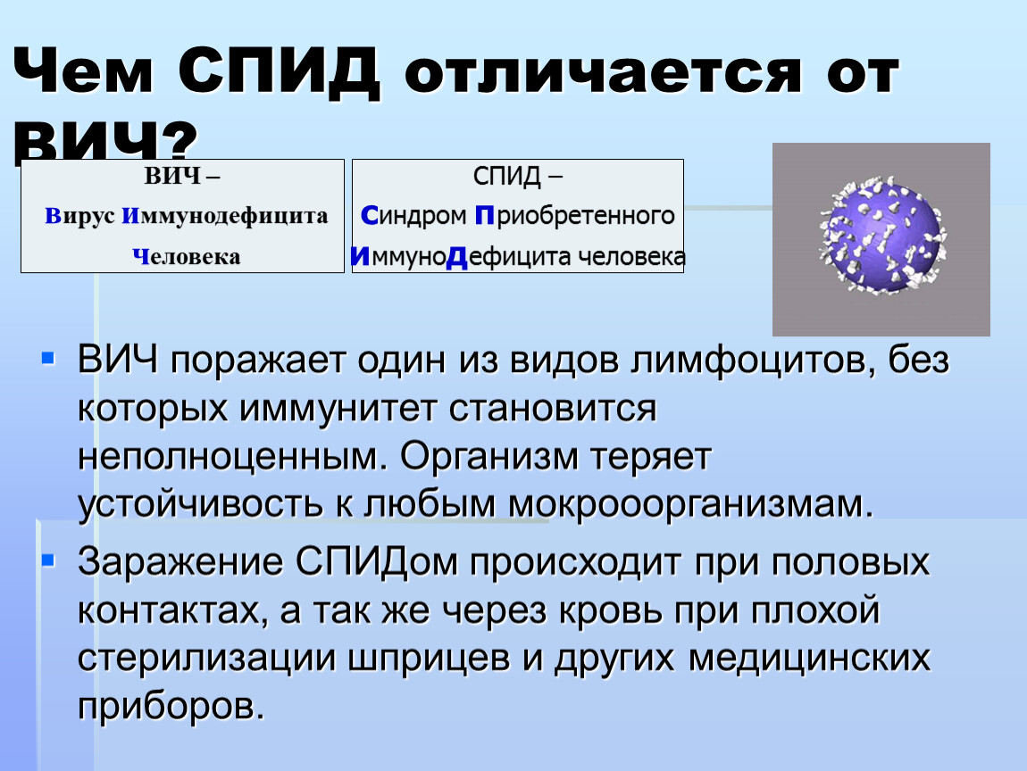 Вич и спид в чем разница. Чем отличается ВИЧ от СПИДА. ВИЧ И СПИД разница. Отличие ВИЧ от других вирусов. Чем характеризуется СПИД.