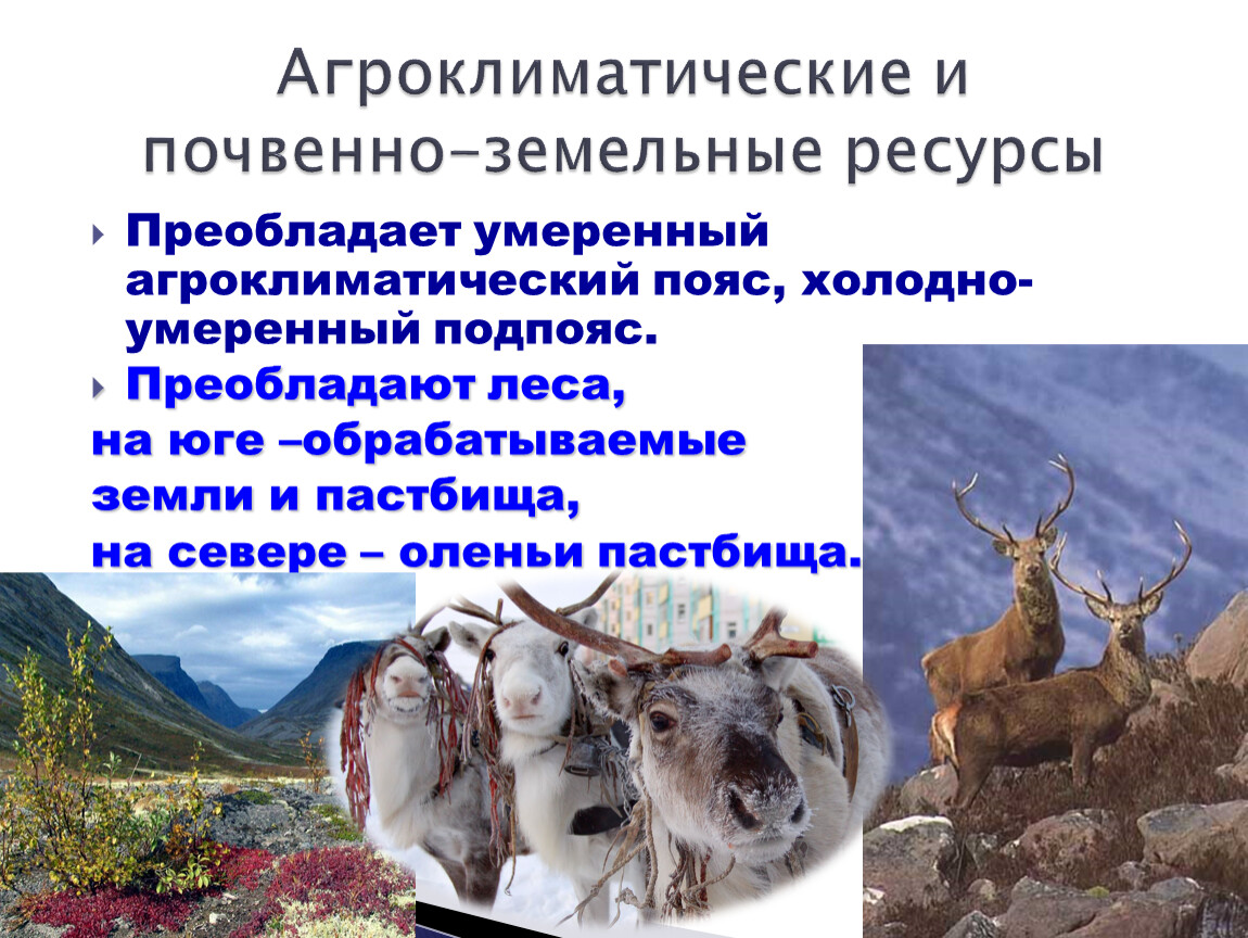 Виды природных ресурсов агроклиматические. Агроклиматические ресурсы Сибири. Агроклиматические ресурсы Канады. Агроклиматические ресурсы Бурятии. Агроклиматические ресурсы Западной Сибири.