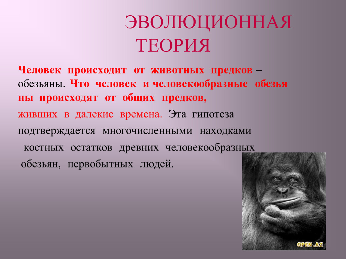 План сообщения об одном из предков человека