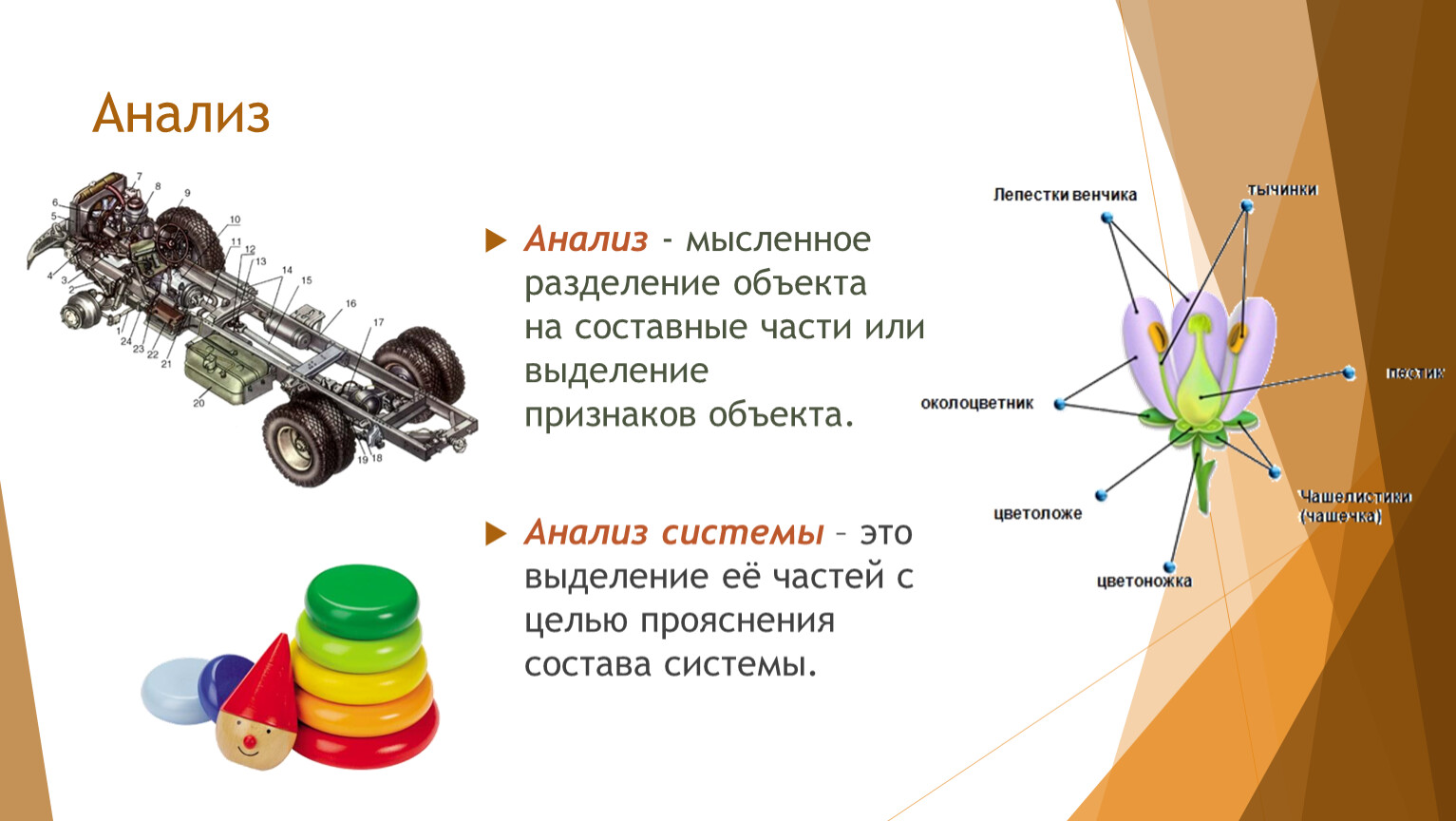 Составные части презентация