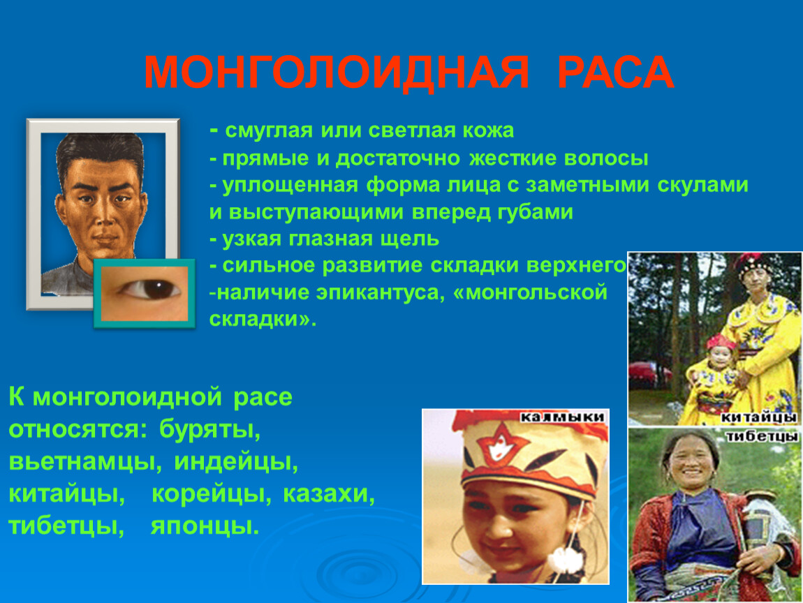 Представители монголоидной расы проживают в основном. Монголоидная раса. Представители монголоидной расы. Монголоидная раса раса. Монголоидная раса характеристика.