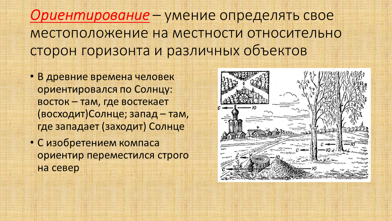 Способность ориентироваться во времени. Навыки ориентирования.