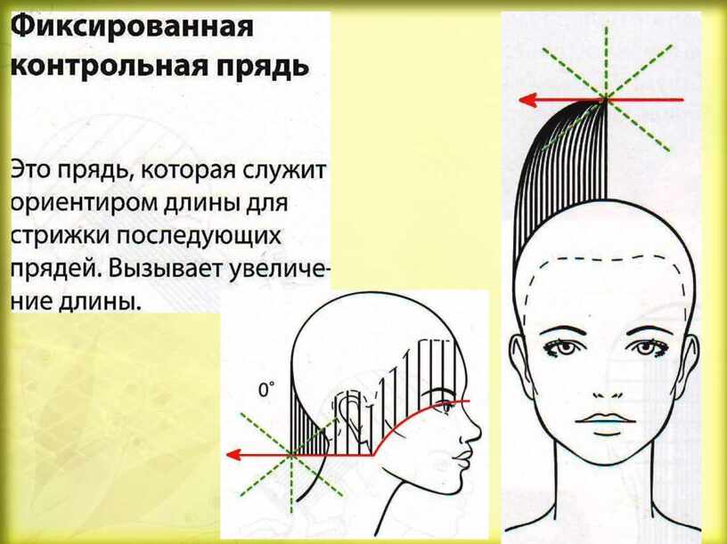 Схема стрижки кроп