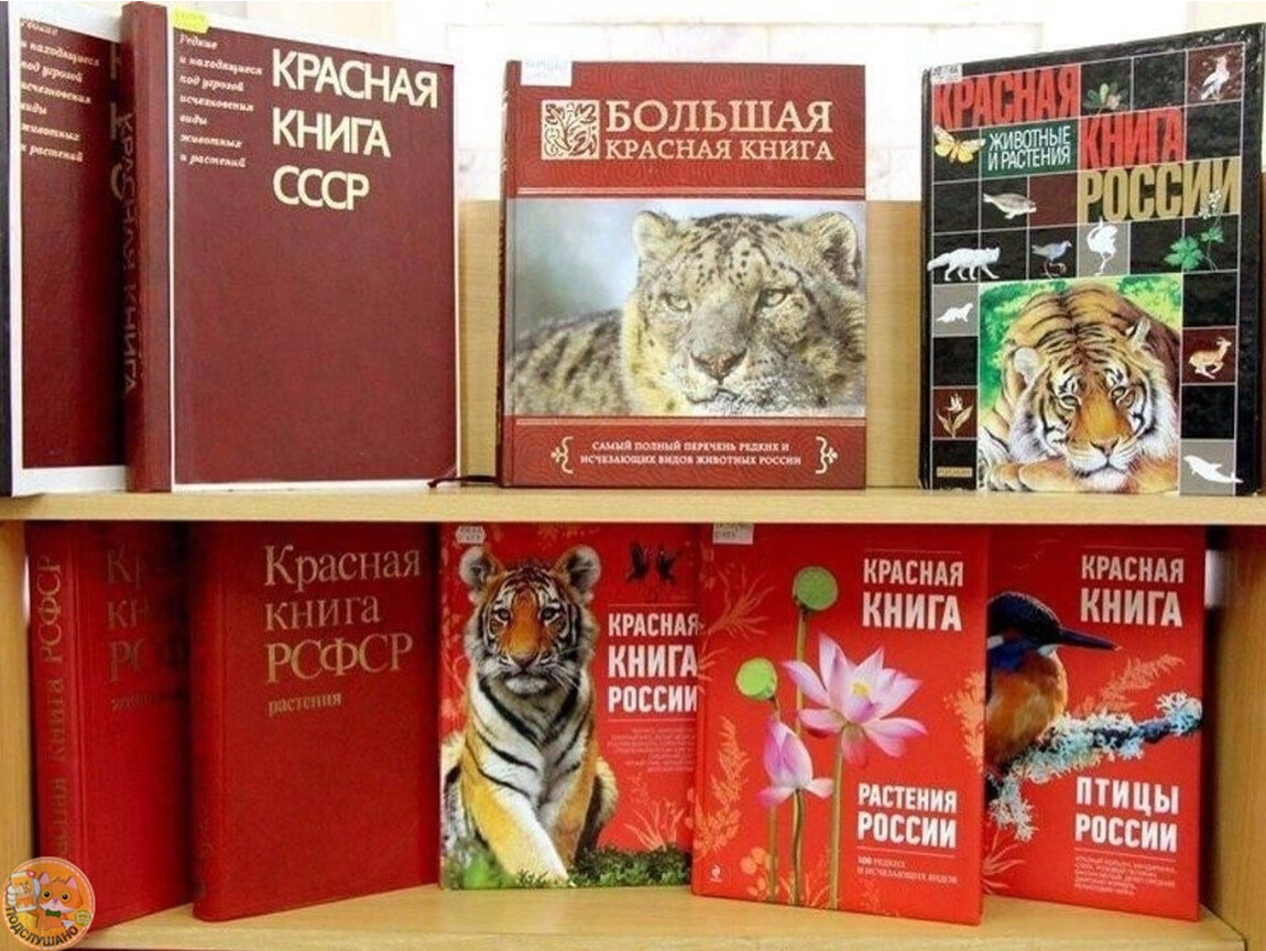 Сайт книги рф. Красная книга. Красная книга России. Красный. Виды красных книг.