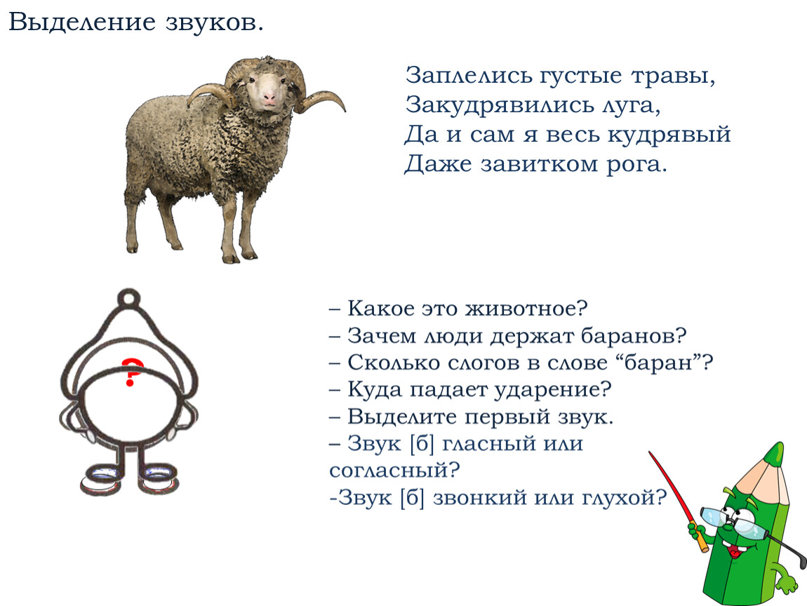 Количество звуков в слове белка. Выделение звука у. Звуковая схема овца. Для барана звуковой. Звуковая схема слова овца.