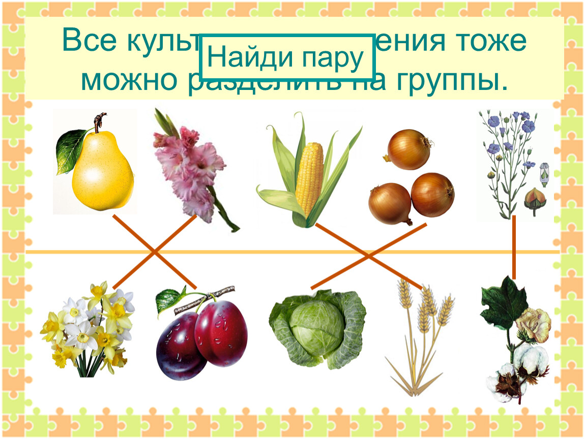 Дикорастущие растения и культурные растения презентация