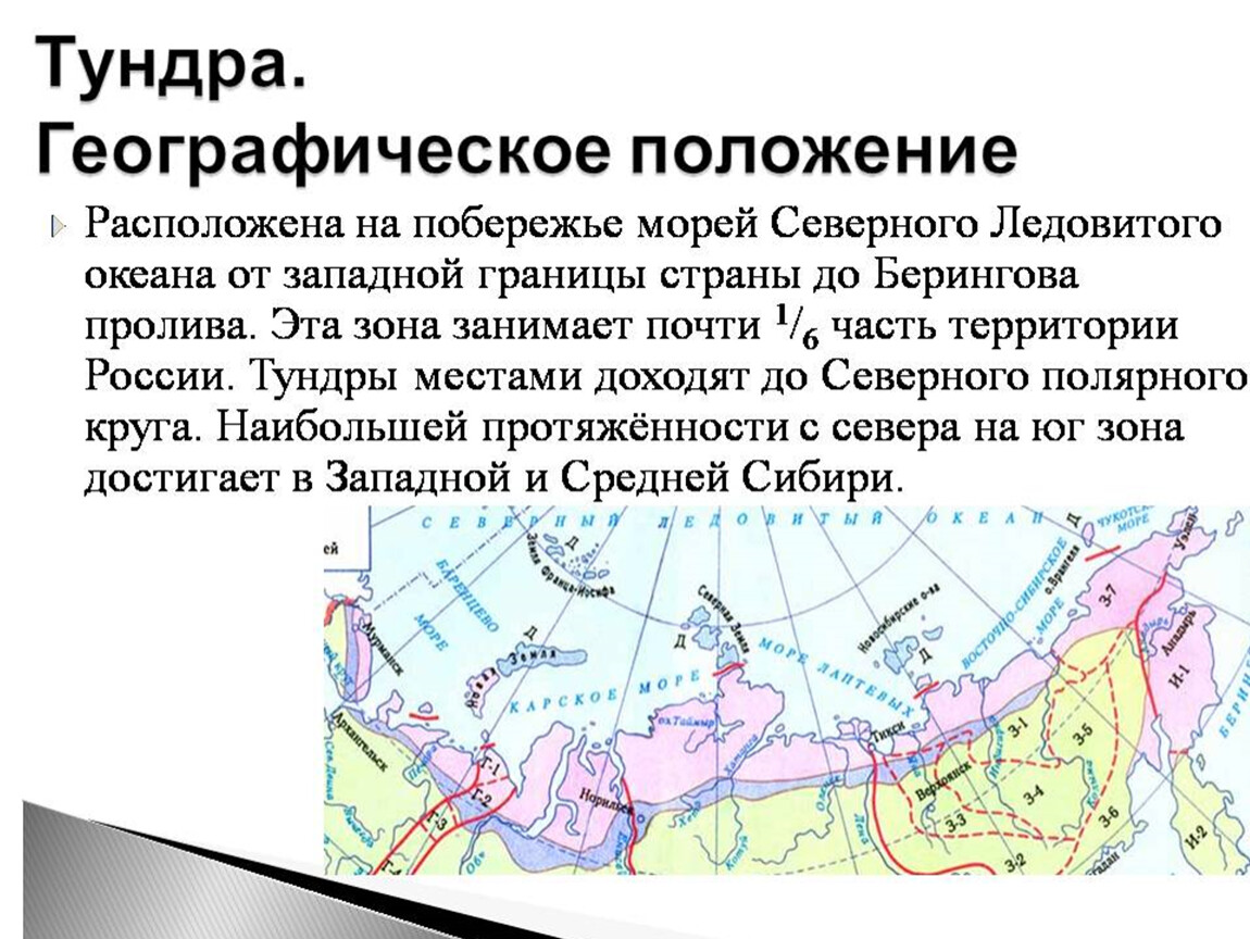 Зона тундры расположена на севере россии. Географическое положение тундры в России карта. Тундра расположение природной зоны. Географическое положение тундры. Тундра на карте природных зон.
