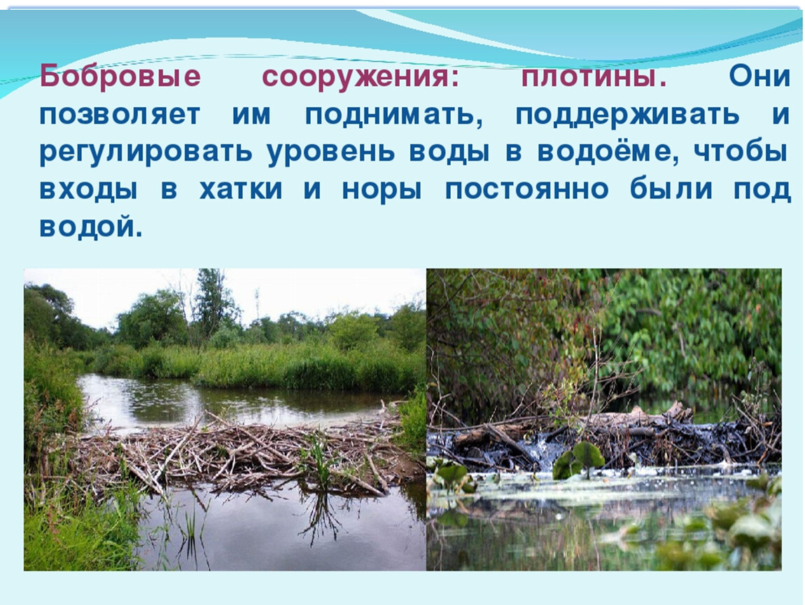 Презентация смысловое чтение 2 класс "Многорукий гномик"