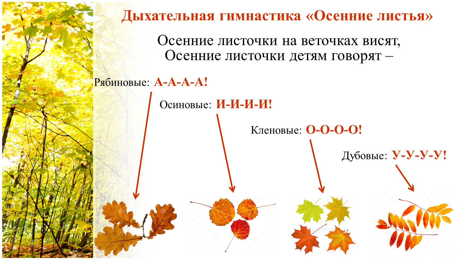 В гости к осени презентация