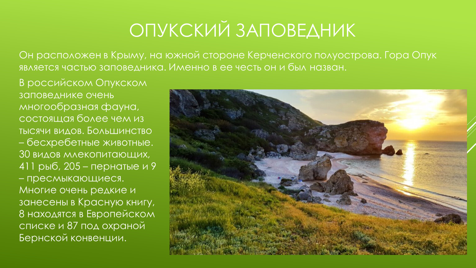 Опукский природный заповедник Крым