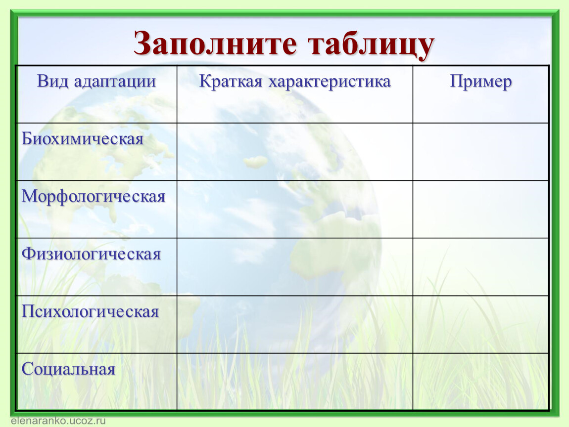 Пример адаптации организмы таблица