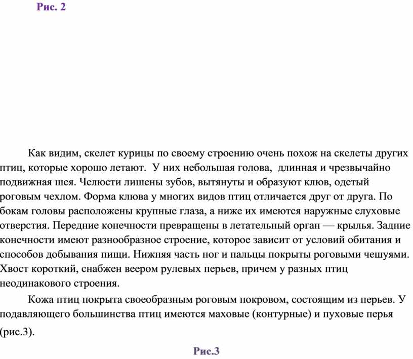 Рис. 2