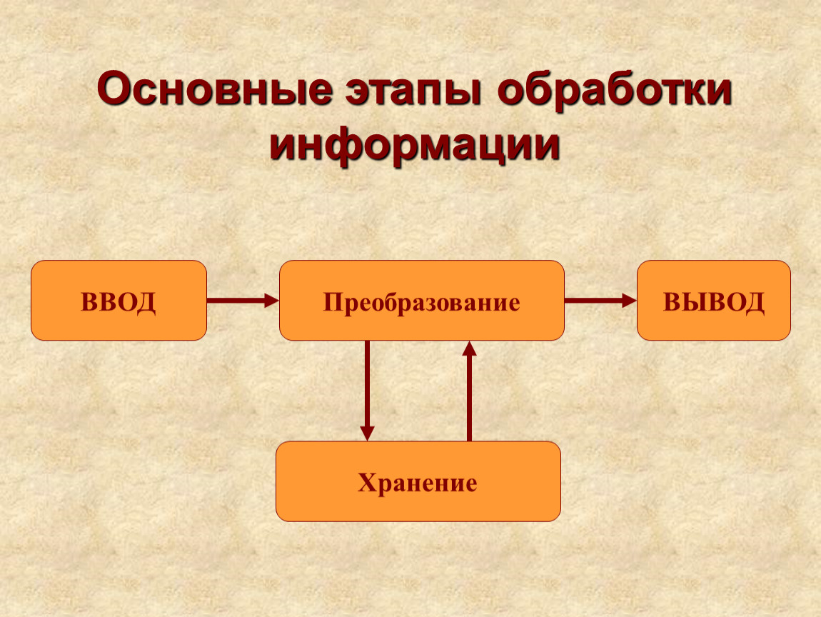 Основная фаза. Этапы обработки информации. Основные стадии обработки информации. Общая схема отработки информации. Основные этапы обработки информации на ПК.