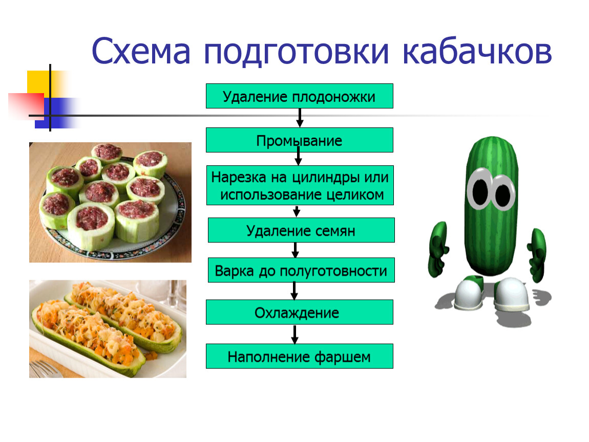 Технологическая схема первичной обработки кабачков