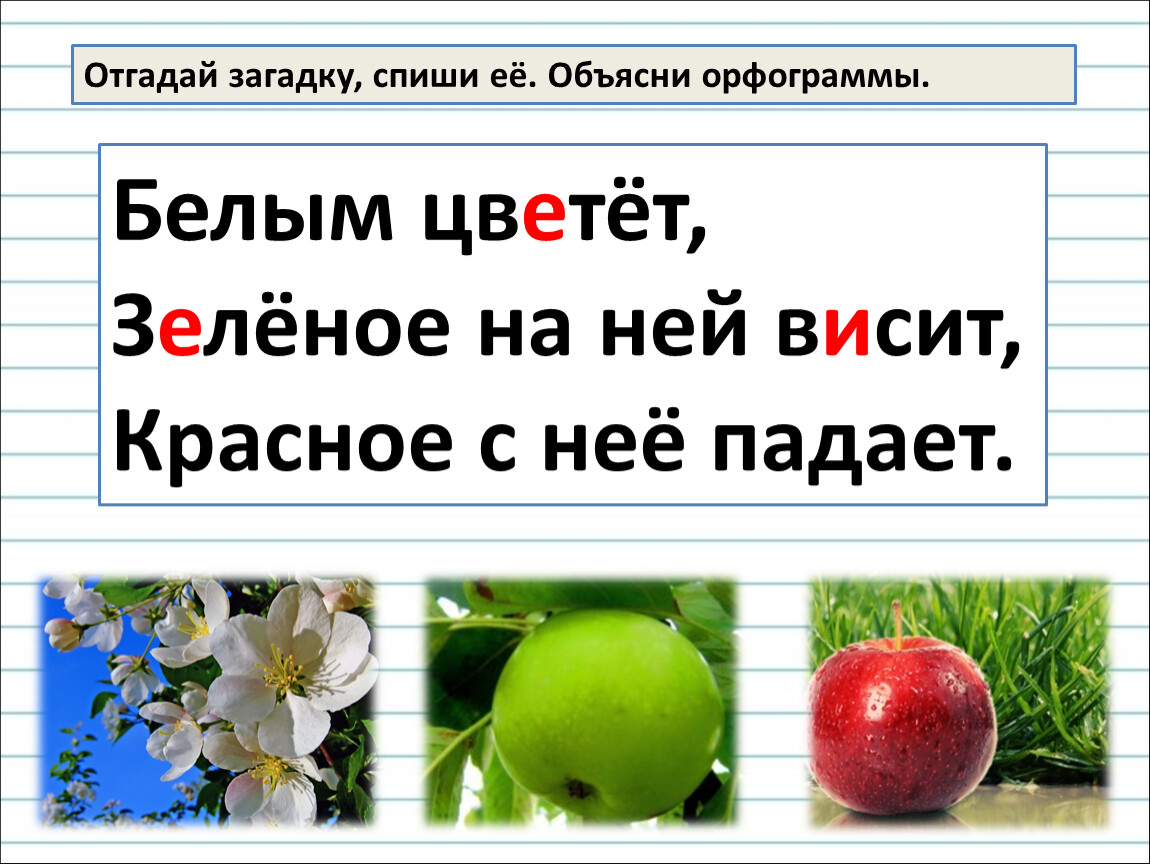 Спиши загадку. Списать загадки. Загадки списания. Можно списать загадки.