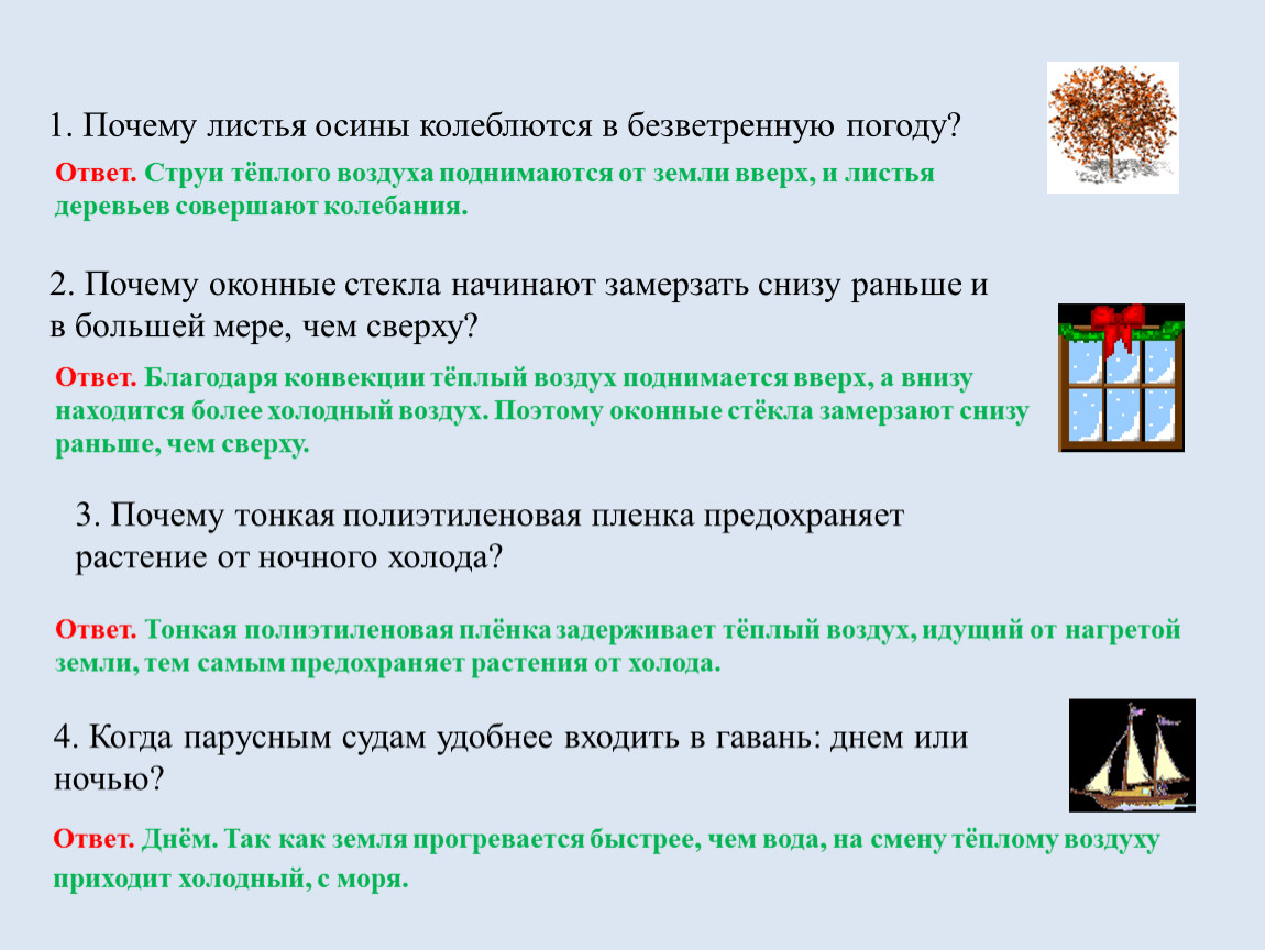 Ветер колеблющий листья. Почему листья осины колеблются в безветренную погоду. Почему листья осины колеблются. Почему у осины дрожат листья в безветренную погоду. Почему оконные стекла снизу начинают раньше замерзать чем сверху.