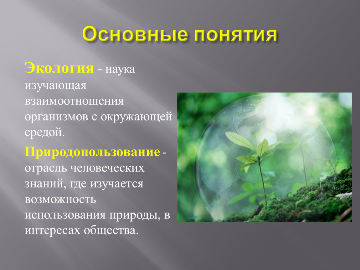 Понятие о природном организме 5 класс. Организм и окружающая среда. Основные понятия экологии. Понятие природа и окружающая среда. Взаимодействие организмов с окружающей.