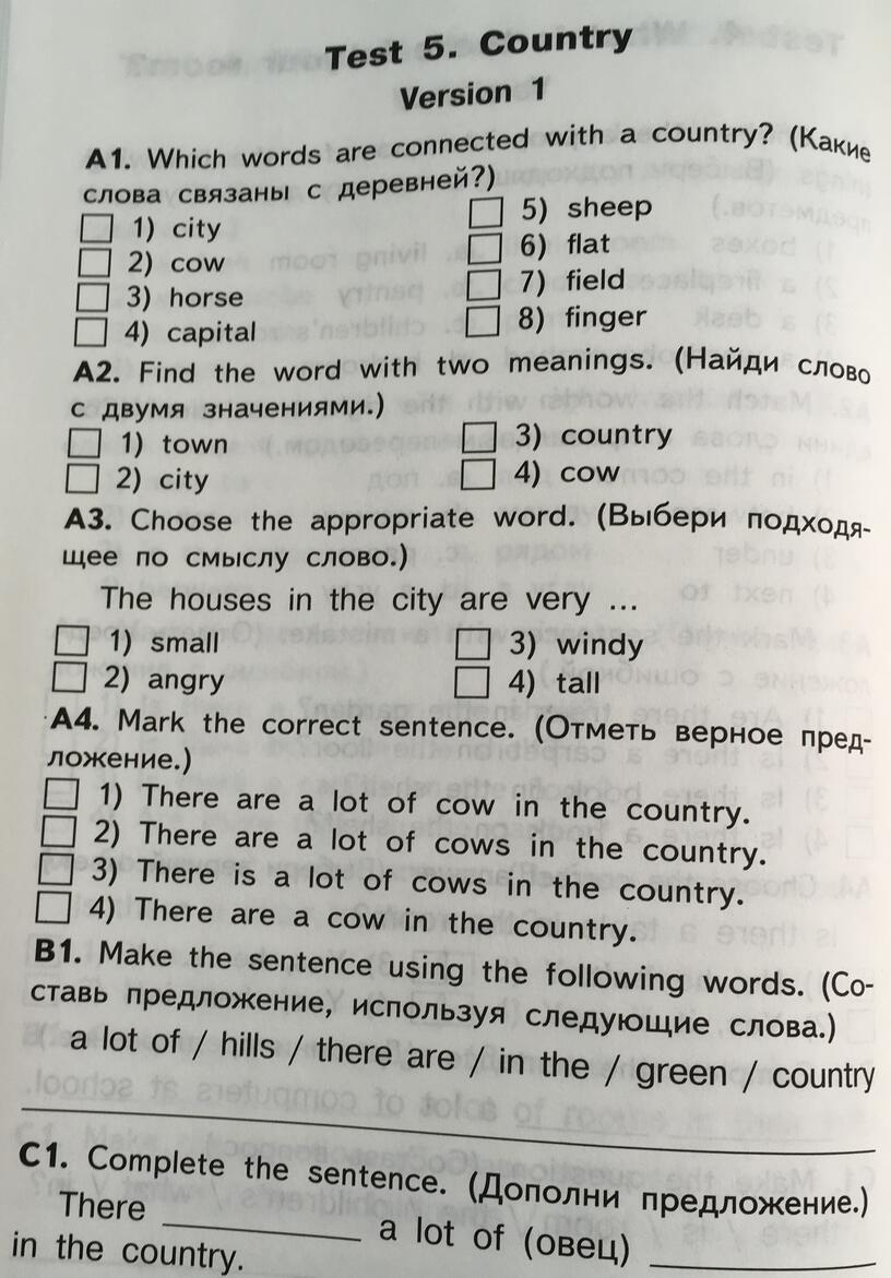 Итоговый тест английский язык 6 класс