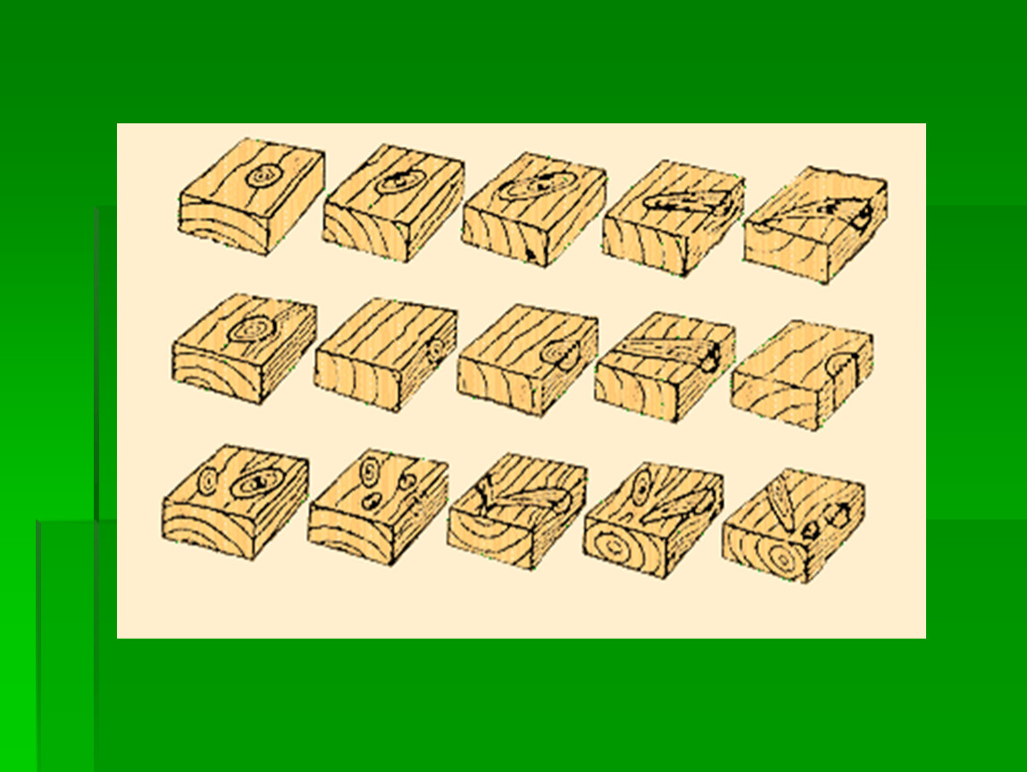 Пороки древесины с картинками