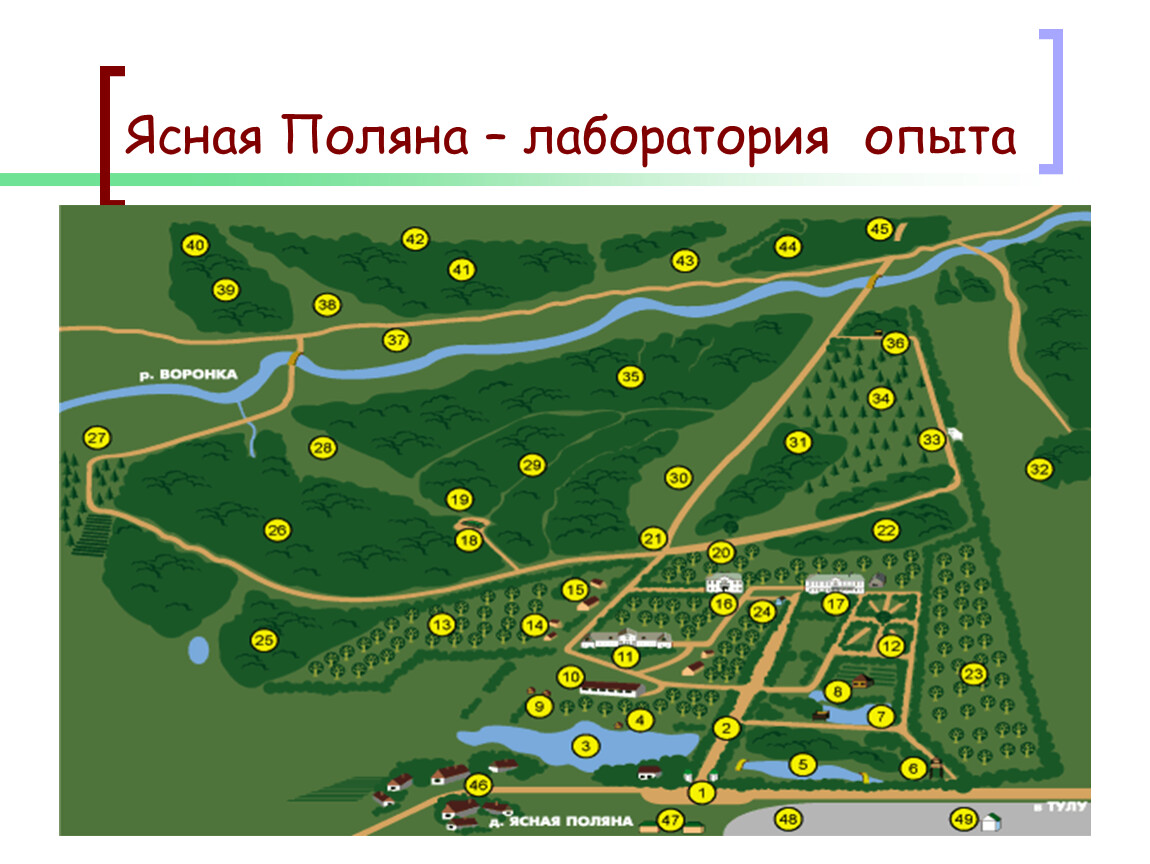 План текста ясная поляна место известное. Карта Ясная Поляна усадьба Толстого. Карта Ясной Поляны усадьбы Льва Толстого. Усадьба Толстого Ясная Поляна схема. Карта музея усадьбы Ясная Поляна.