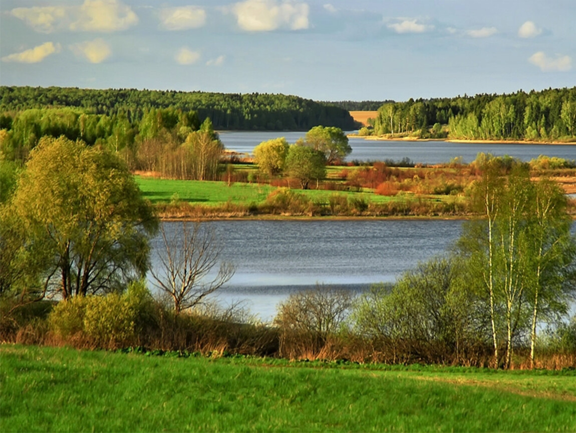 Река Озерна Рузский
