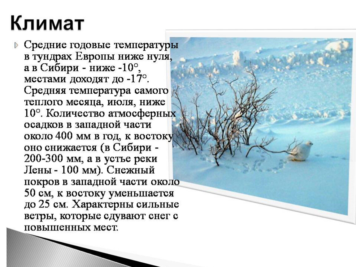 Температура в тундре зимой и летом. Средние температуры тундры в России. Лесотундра климат. Средняя годовая температура в тундре. Тундра климат января и июля.