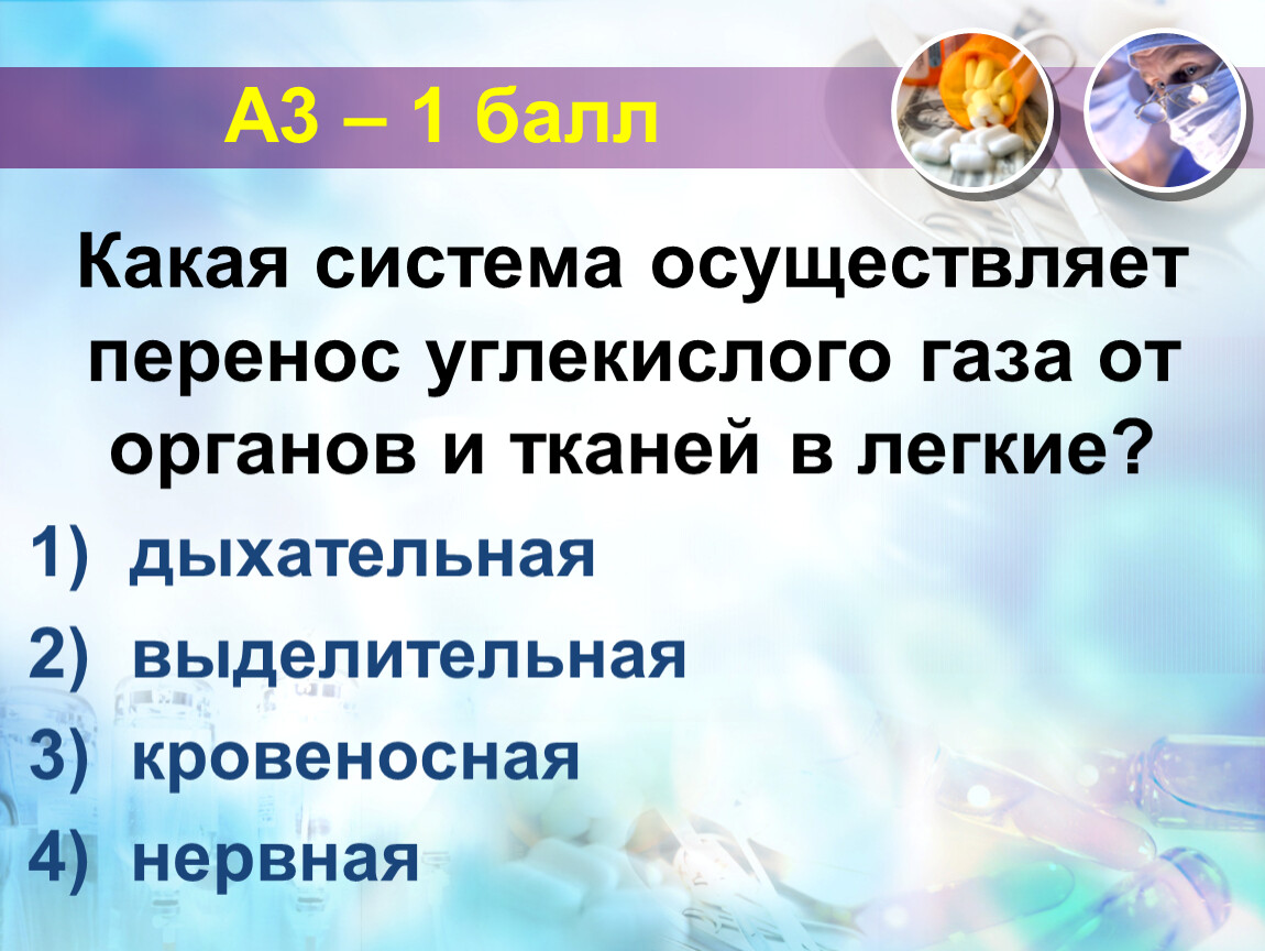 Перенос углекислый. Какие этапы осуществляет дыхательная система а какие кровеносная.