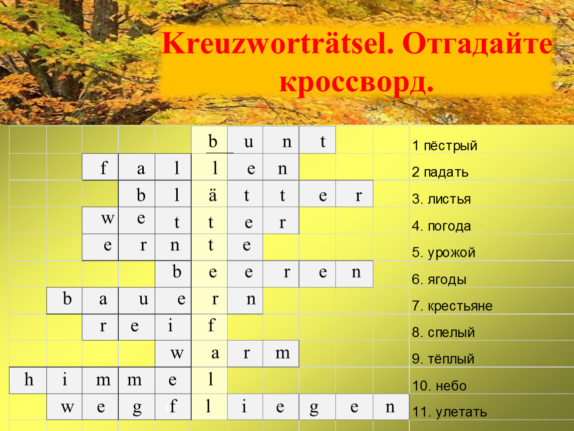 Kreuzworträtsel. Отгадайте кроссворд