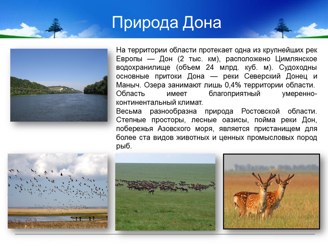 Окружающий мир 3 класс проект разнообразие природы родного края ростовская область