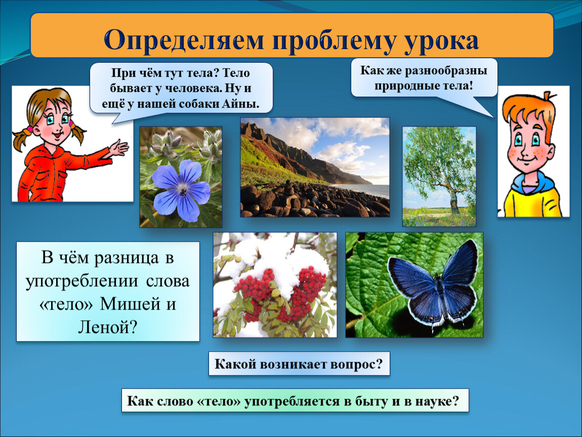 Организмы окружающий мир 3. Природные тела. Природные тела 3 класс. Естественные тела окружающий мир. Естественные тела окружающий мир 3 класс.