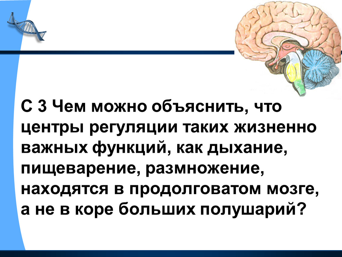 Чем объясняется. В продолговатом мозге расположены жизненно важные центры. Центр регуляции важнейших жизненных функций. В среднем мозгу находится центр регуляции. В продолговатом мозге находится центр регуляции.