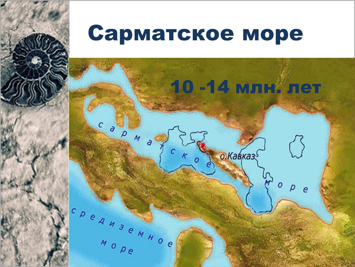 Древний океан был. Древний океан Тетис на карте России. Скифское море сарматское море. Сарматское море в древности. Тетис и сарматское море.