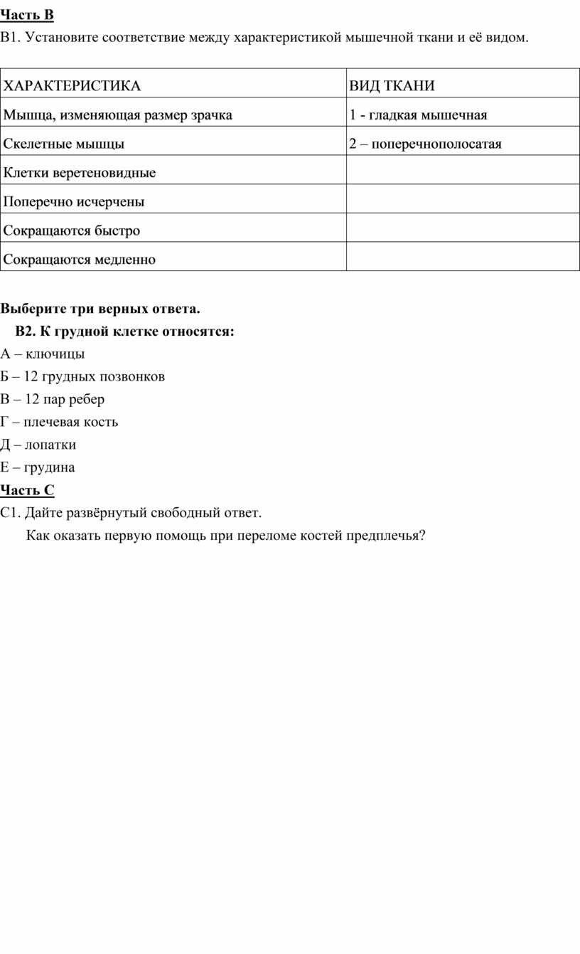 Установите характеристики. Установите соответствие между характеристикой мышечной ткани. Соответствие между характеристикой мышечной ткани и ее видом. Установите соответствие между характеристикой мышечной ткани видом. Соответствие между характеристикой мышечной ткани.