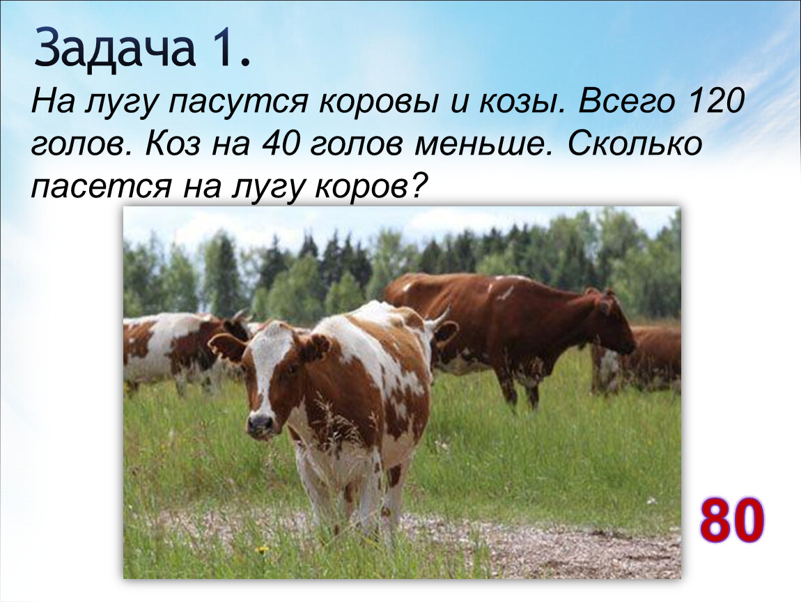 Год коровы. Игра сколько коров пасется на лугу. Кто пасется на лугу заготовки для рагу. Начерти схему на лугу пасется Буренок. На лугу пасутся бык папа и корова мама.